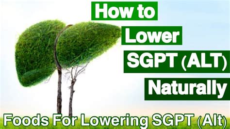 sgpt alt low|how to reduce sgpt alt.